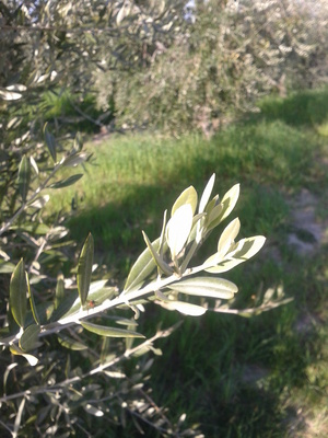 20140410_174930 (2).jpg